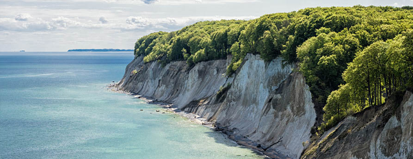 Obrázek pro Rujána